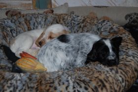 Besuch 5.jpg